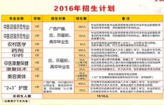 针灸推拿诊所盈利状况如何？投资回报率能满足预期吗？