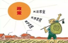 二级维护司机收入如何？这份工作真的能赚大钱吗？