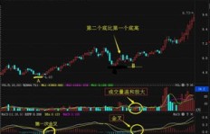 殷保华门下弟子是否已实现财富增长？
