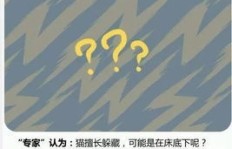 微商风云＂背后的真实含义究竟是什么？探索其深层意义！