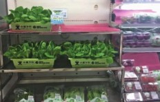 超市高价蔬菜销售策略，究竟利润几何？