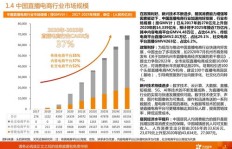 现在投身国产电商行业，盈利前景如何？