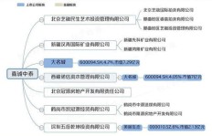 重庆矿业集团副业外汇如何运作？其背后隐藏着怎样的经济逻辑？