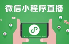 如何在小秀平台直播中实现盈利？