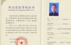 如何考取高薪厨师证？掌握这些技巧让你收入翻倍！