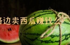 卖西瓜真的能赚钱吗？如何实现盈利最大化？