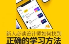 新手如何迅速找到高效赚钱的方法？