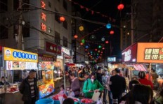 西宁夜市哪类商品最具盈利潜力？