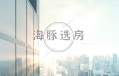 抢房热潮中，投资房地产真的能稳赚不赔吗？