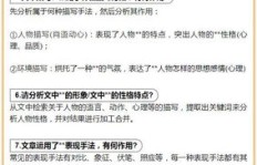 如何深入理解教育题目核心，有效提升答题技巧与效果？