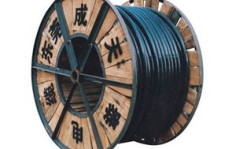 成天泰电缆品质是否可靠？想了解其生产基地，具体位置究竟在哪里？