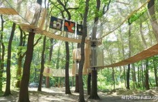 新疆树上探险乐园盈利情况如何？是否值得投资？