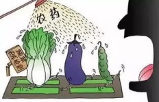 农药副业经营背后的公司，究竟是如何运作的？