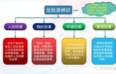 如何高效训练宠物实现快速盈利？