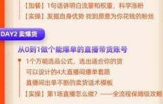 如何零基础开启穿戴甲副业？完整教程带你入门赚钱