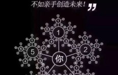 蛾子如何成为赚钱利器？揭开其经济效益之谜