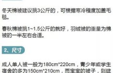 想要成为城管？报考城管需要满足哪些条件你知道吗？