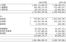 学校高层能否兼任总经理？教育与管理界限何在？