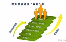 如何在大学期间实现经济独立？探索适合学生的副业选择