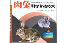 养殖肉兔能否带来可观的经济收益？新手入行必看！
