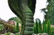 种植基地选哪种树木最具经济效益？哪种树能带来高收益？