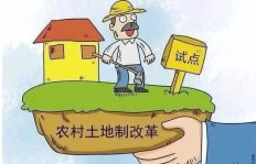 在美国务农，哪些途径能让农民实现高收入？