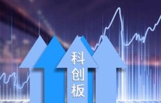 马驰副业究竟是哪家公司？背后业务引人好奇