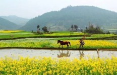 农民如何在水库中寻找致富机会？