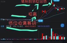 他们究竟是为了赚钱而来，还是另有目的？