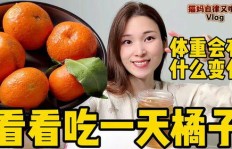 橘子副业真的容易上手吗？新手入门有哪些挑战？