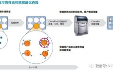 如何高效筛选与评估副业项目信息？全面指南解析