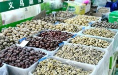 在农村村里卖什么能赚钱？最佳商品选择指南