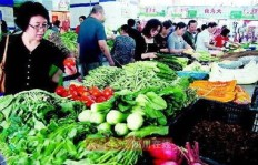 蔬菜收购后上市销售，真的能带来可观利润吗？