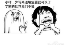 敷衍英语学习真的有效吗？深度探讨流利背后的真相？
