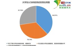 如何通过球类项目实现高效盈利？