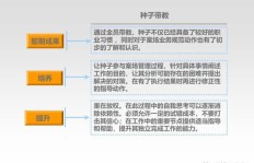 房地产销售经理究竟承担哪些关键职责？