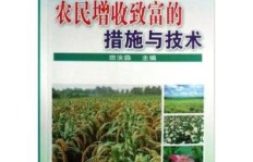 东北农民靠哪些途径实现增收致富？