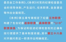 兼职委员究竟是什么角色？详解其职责与作用
