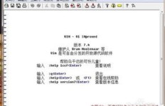 VIM编辑器如何助你实现高效变现？