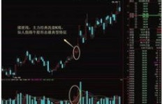 谁能在股市中获利？揭开赚钱人群的特质与策略