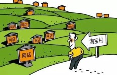 农村自制产品能否带来可观收入？