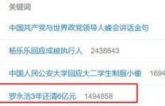 有哪些高效方法能迅速赚钱还清债务？