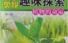 哪种作物种植回报最快？高效赚钱的秘密是什么？