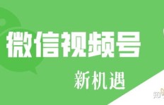 哪个地点打卡能让你赚得盆满钵满？