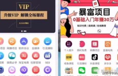 网上拍卖物品如何实现盈利？一步步教你赚钱攻略