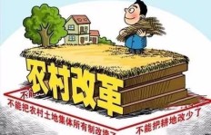 农村副业风生水起，如今都在搞什么新项目？