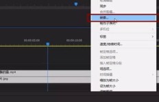 后期剪辑中，哪种配音方式能带来更多收益？