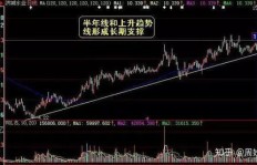 当前股市中哪种股票最具盈利潜力？