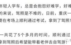 王芩为何力荐这款副业？揭开她的成功秘诀！
