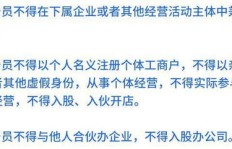 如何专注发展副业，实现额外收入增长？